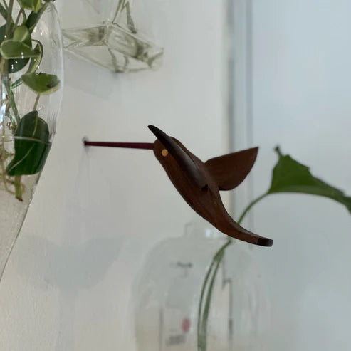 Beija Florzinho de Parede com Cauda Inclinada