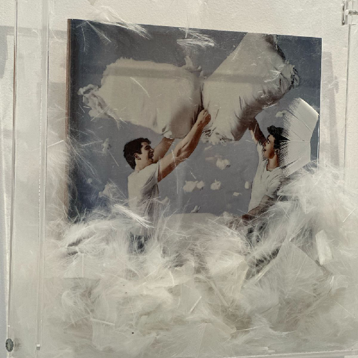 Quadro Acrílico Travesseiros 20x20 - Greghi Design