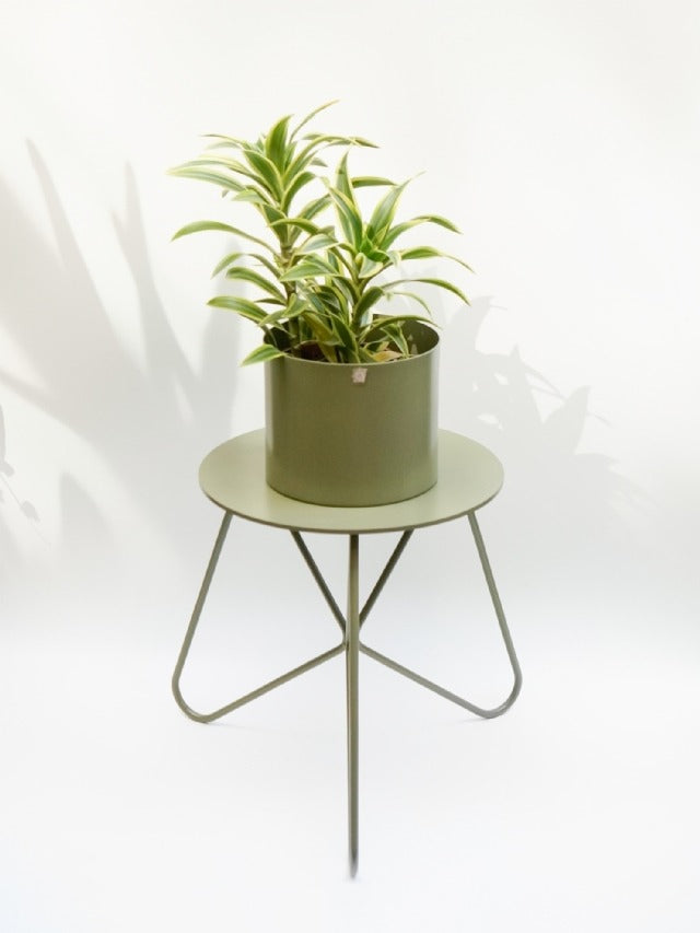 Cachepô Alumínio Reto - Verde