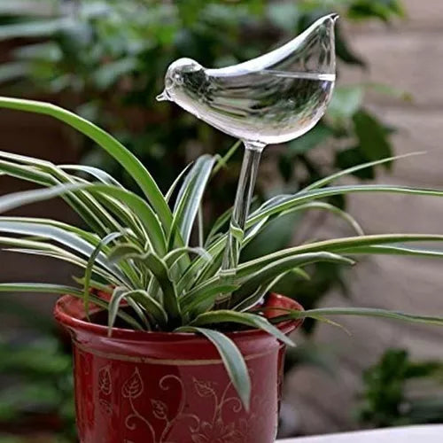 Regador Passarinho Vidro