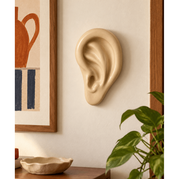 Orelha Decorativa