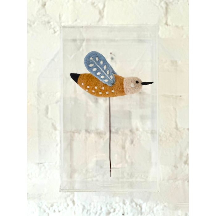 Caixa de Acrílico Pássaro