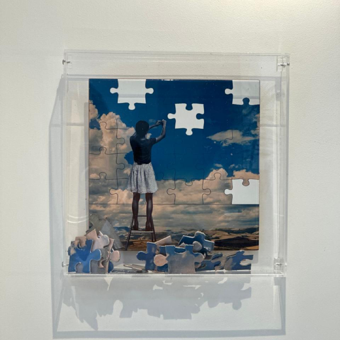 Quadro Acrílico Quebra Cabeça 25x25 - Greghi Design