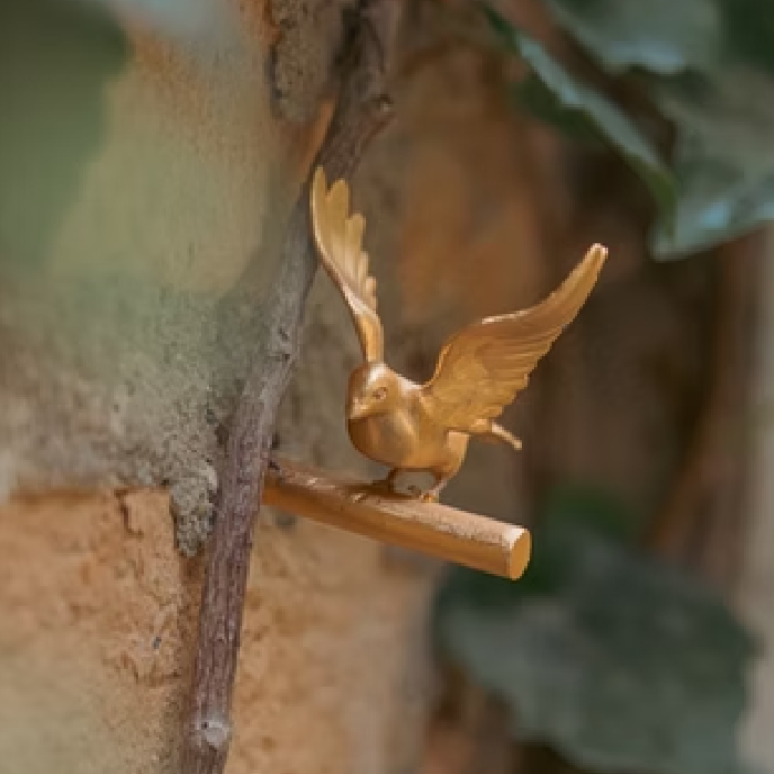 Parafuso Decorativo Vôo