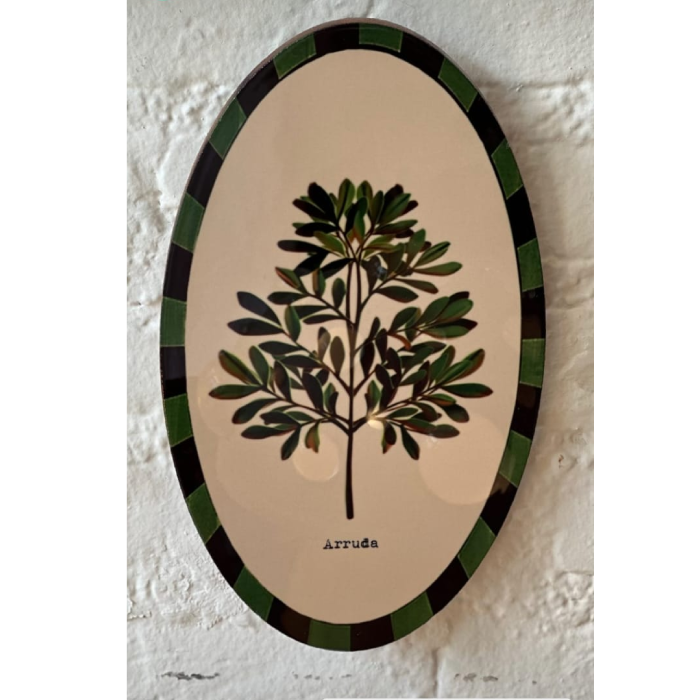 Azulejo Oval Arruda - Greghi Design