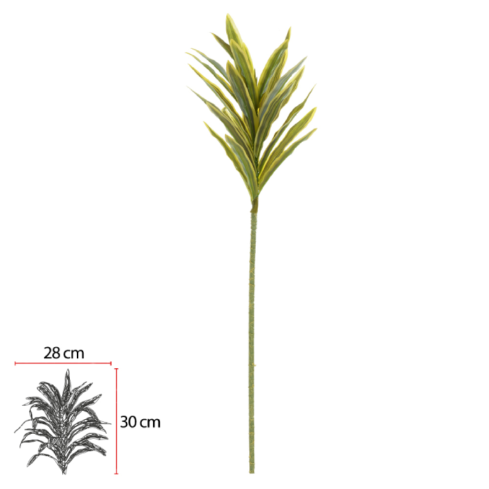 Dracena Reflexa Real Toque
