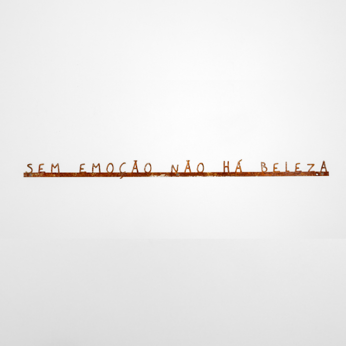 Frase de Ferro Sem Emoção Não Há Beleza