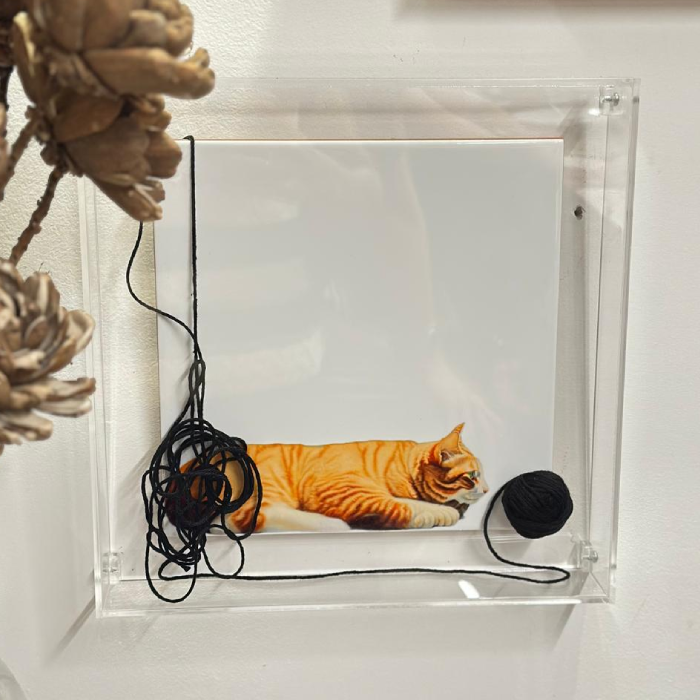 Quadro Acrílico Gato 25x25 - Greghi Desing