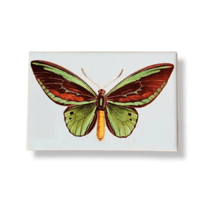 Azulejo Decorativo Borboleta - casaquetem
