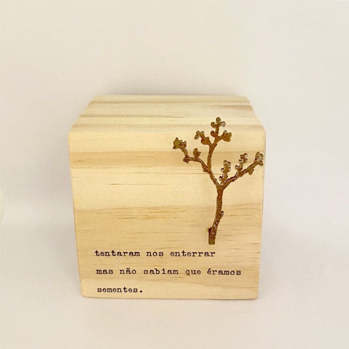 Cubo - Tentaram nos Enterrar mas não Sabiam que Éramos Sementes. - casaquetem