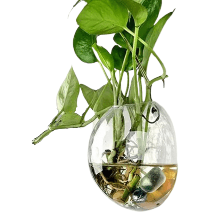 Vaso de Parede Bola em Vidro - casaquetem