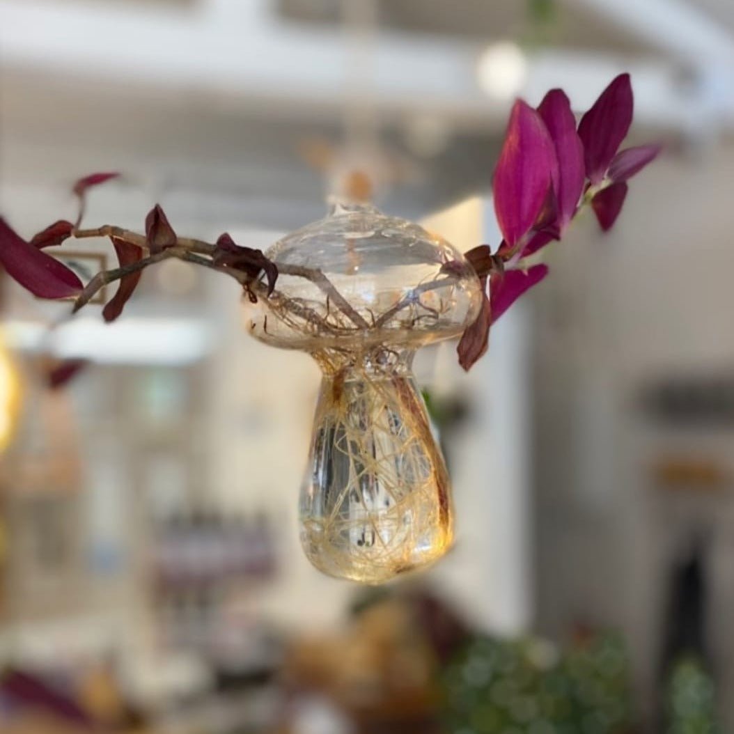 Vaso Suspenso Cogumelo em Vidro - casaquetem