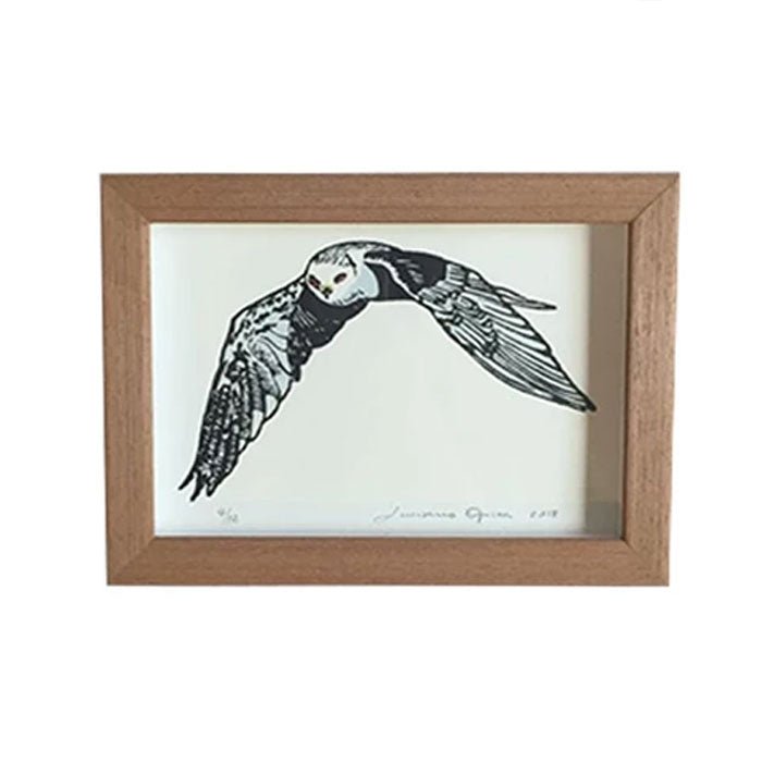 Xilogravura Gavião com Aquarela - casaquetem