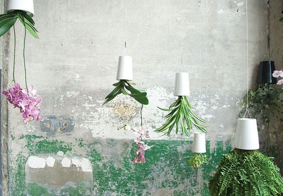 Skyplanter da Boskke! Vamos montar um jardim suspenso? - casaquetem