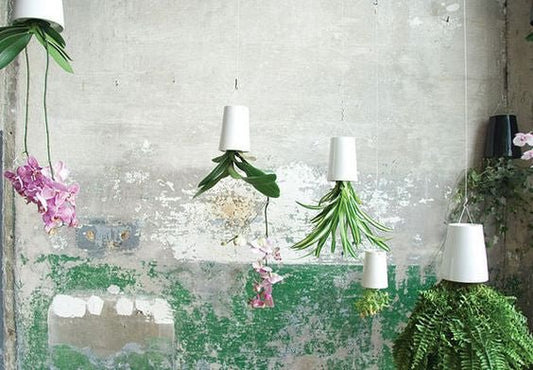 Skyplanter da Boskke! Vamos montar um jardim suspenso? - casaquetem