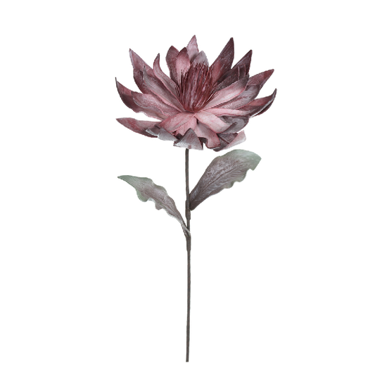 Haste Magnólia – Beauty Outono