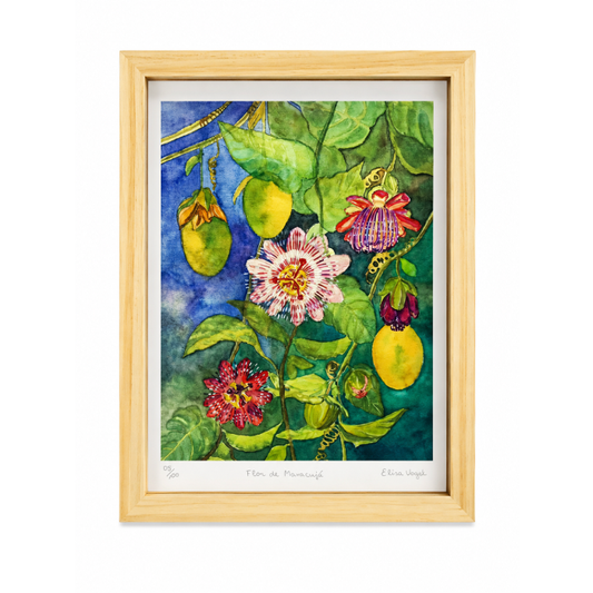 Quadro Flor de Maracujá