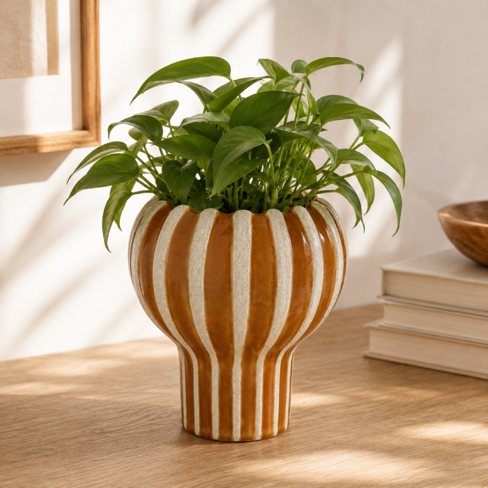 Vaso de Cerâmica