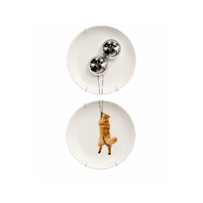 Conjunto de Prato  Golden - Greghi Design