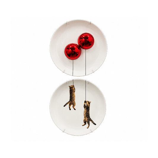 Conjunto de Prato Gatos - Greghi Design