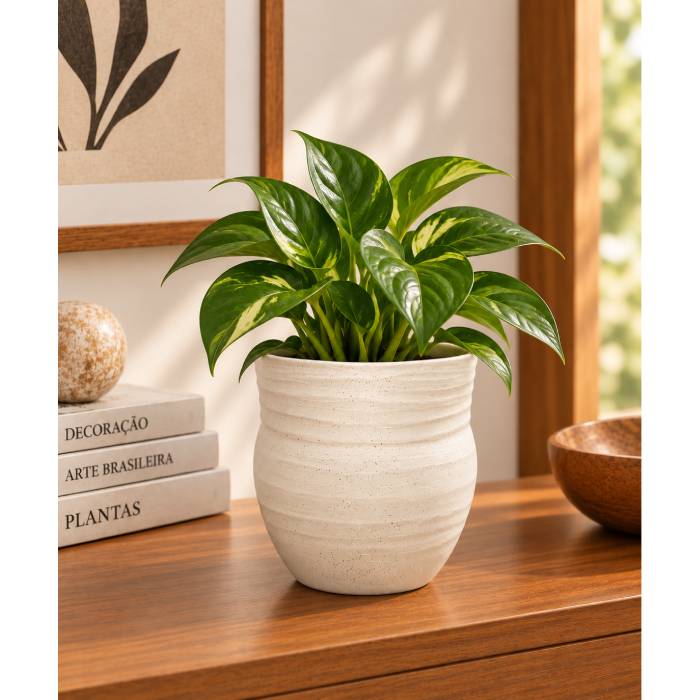Vaso de Cerâmica M
