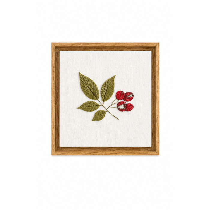Quadro Bordado Botânico Guaranaí