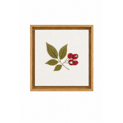 Quadro Bordado Botânico Guaranaí