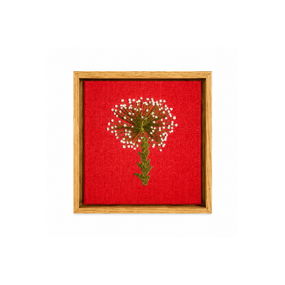 Quadro Bordado Botânico Sempre-vivas