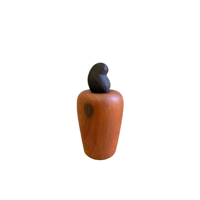 Escultura Caju