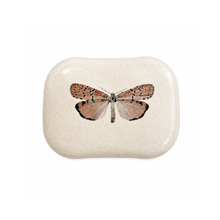 Saboneteira Borboleta