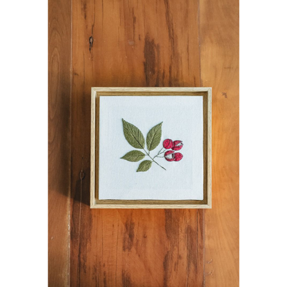 Quadro Bordado Botânico Guaranaí