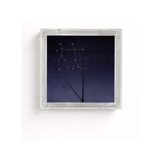 Árvore Constelação – Signos do Zodíaco