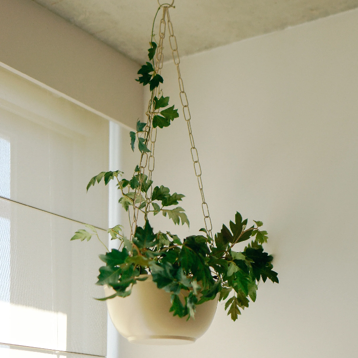 Cachepo Perdurável Cuia Liso - Areia