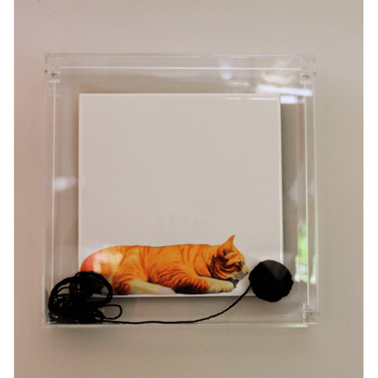 Quadro Acrílico Gato 25x25 - Greghi Desing