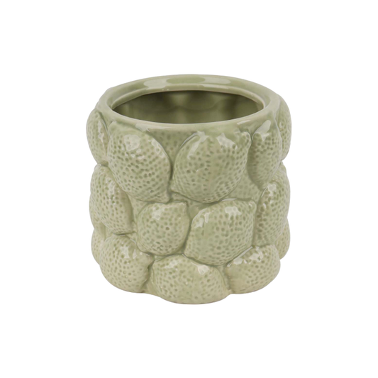 Vaso Conchas Cerâmica