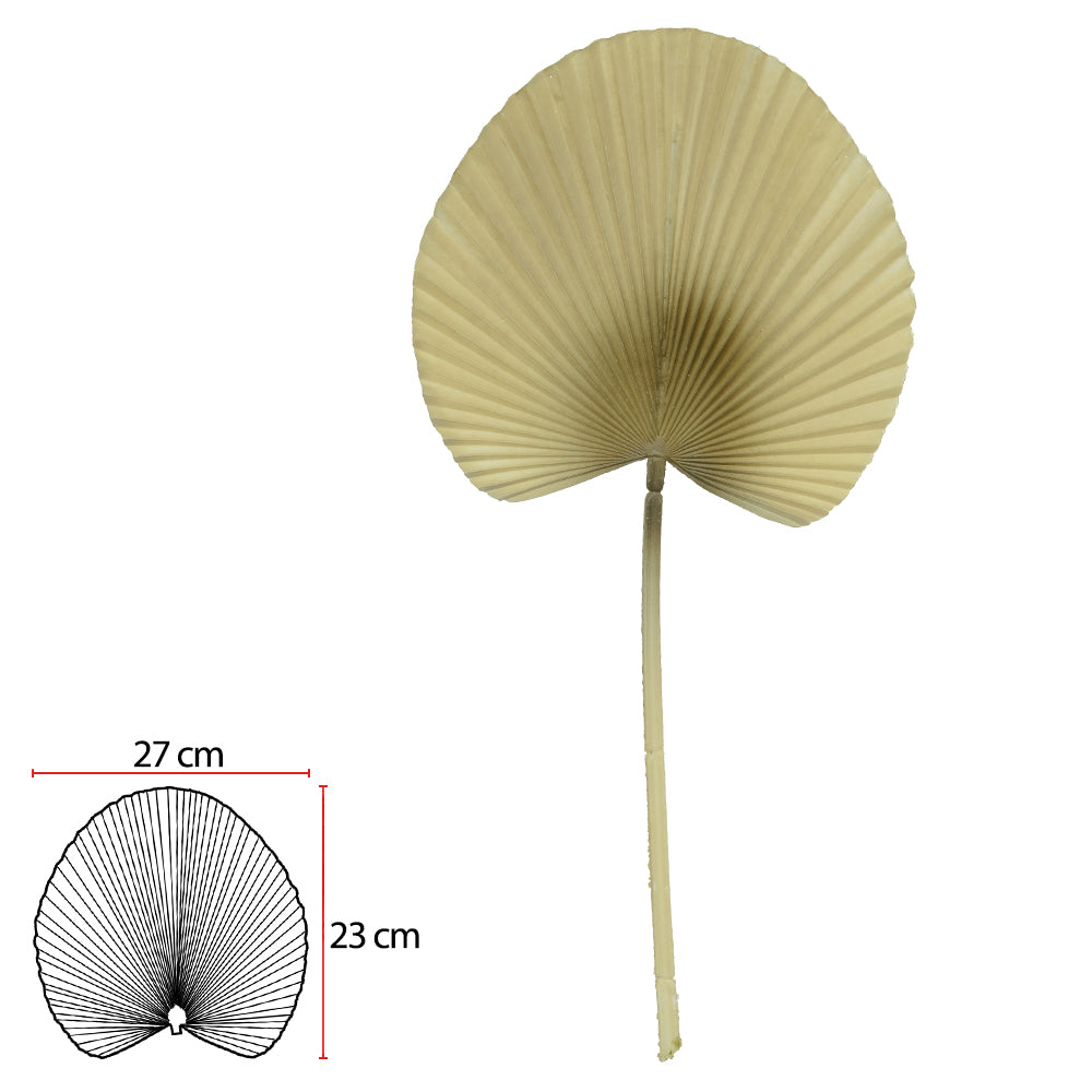 Folha Leque Palha
