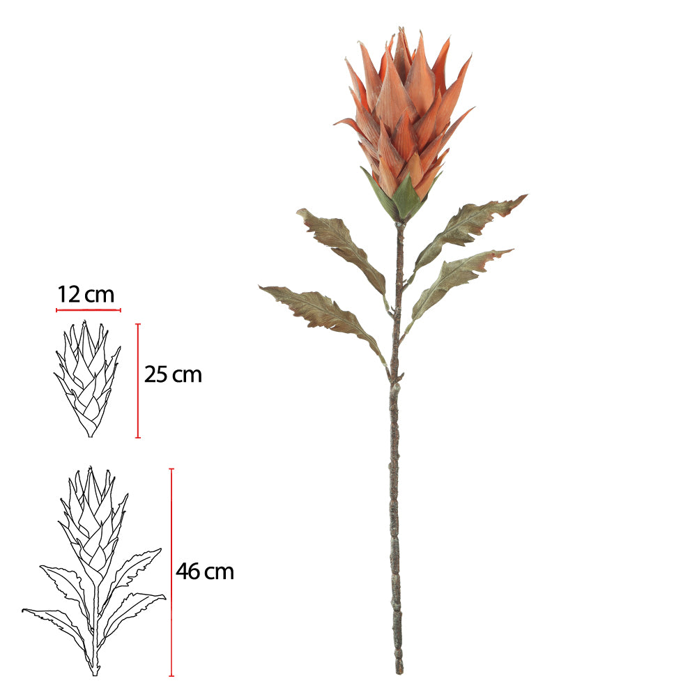 Haste Protéa com Coat Ocre