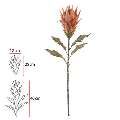 Haste Protéa com Coat Ocre