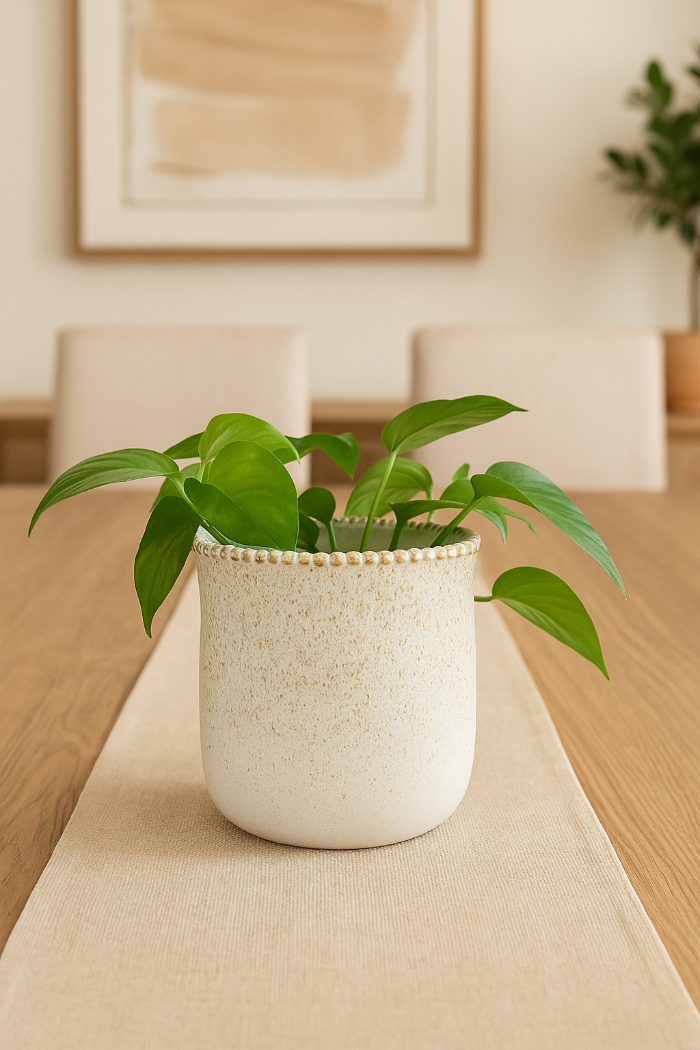 Vaso de Cerâmica Branco P