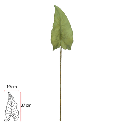 Folha Alocasia com Coat