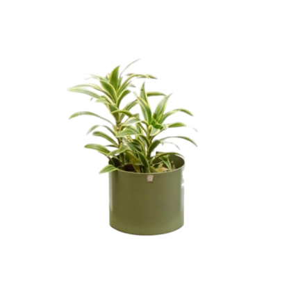 Cachepô Alumínio Reto - Verde