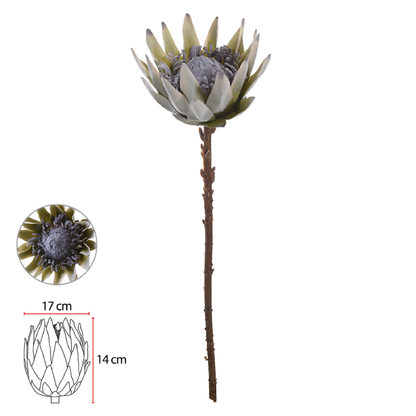 Haste Protéa Flocked