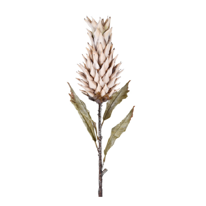 Haste Outonada Bromélia