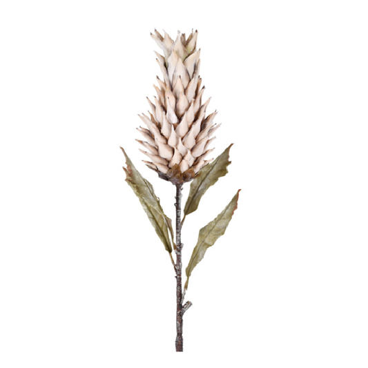 Haste Outonada Bromélia