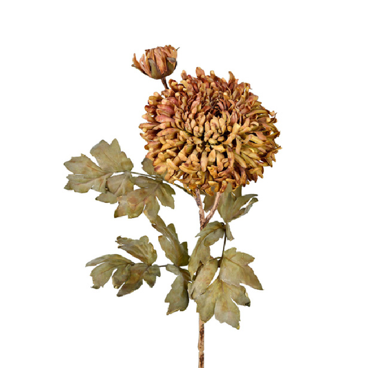 Haste Flor de Crisântemo