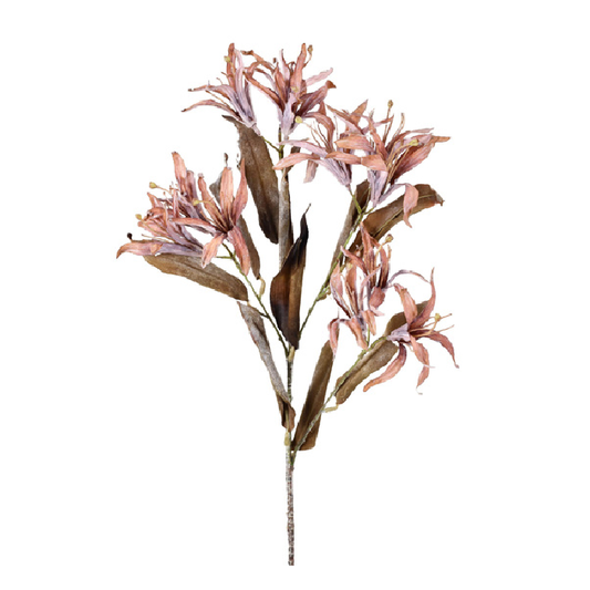 Haste Flor de Bauhinia Outonada