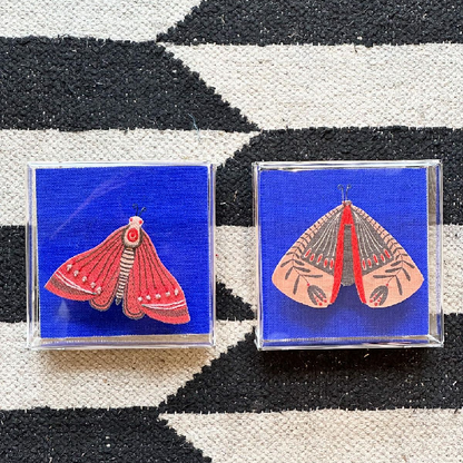 Quadro Acrilico Pinus - Mariposa Vermelha