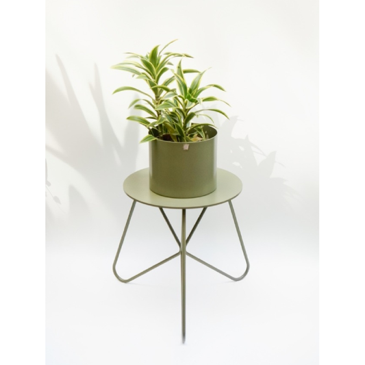 Suporte para Plantas Andorinha Verde