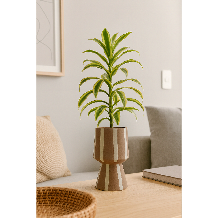 Vaso Cerâmica Listras Marrom