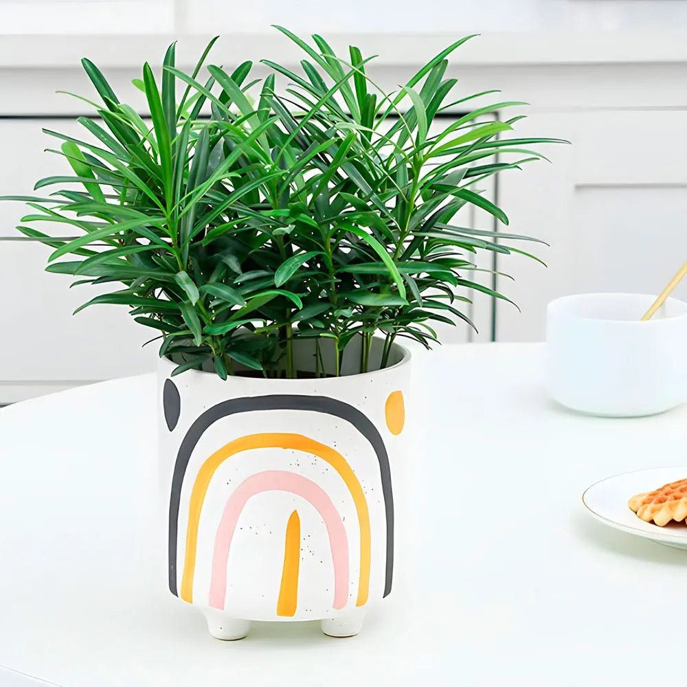 Cachepot Flower Color - casaquetem